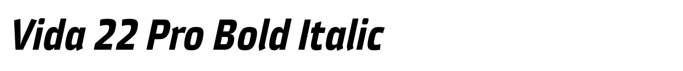 Vida 22 Pro Bold Italic